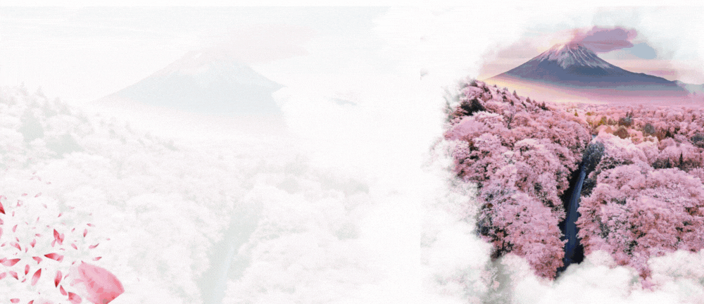 CÔNG TY CỔ PHẦN TƯ VẤN DU HỌC MẶT TRỜI MỌC (1080 × 432 px) (1024 × 432 px)